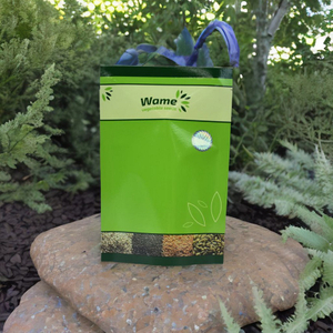 ถุงเมล็ดทานตะวันสีเขียวขนาดเล็ก Doypack แบบผนึกส่วนบุคคล