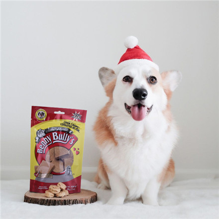 dog-treats-bag_