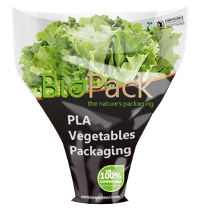 Compostable PLA Vegetable Packaging Bags
