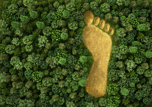 Carbon-footprint (1).jpg