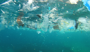 ocean plastic pollution.jpg