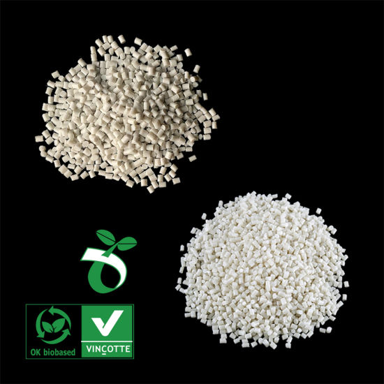 Eco Friendly Compostable Plastic Resin Manufacturer in China