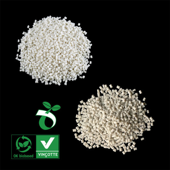 Eco Friendly Compostable Plastic Resin Manufacturer in China